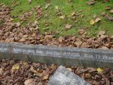 image of grave number 199271